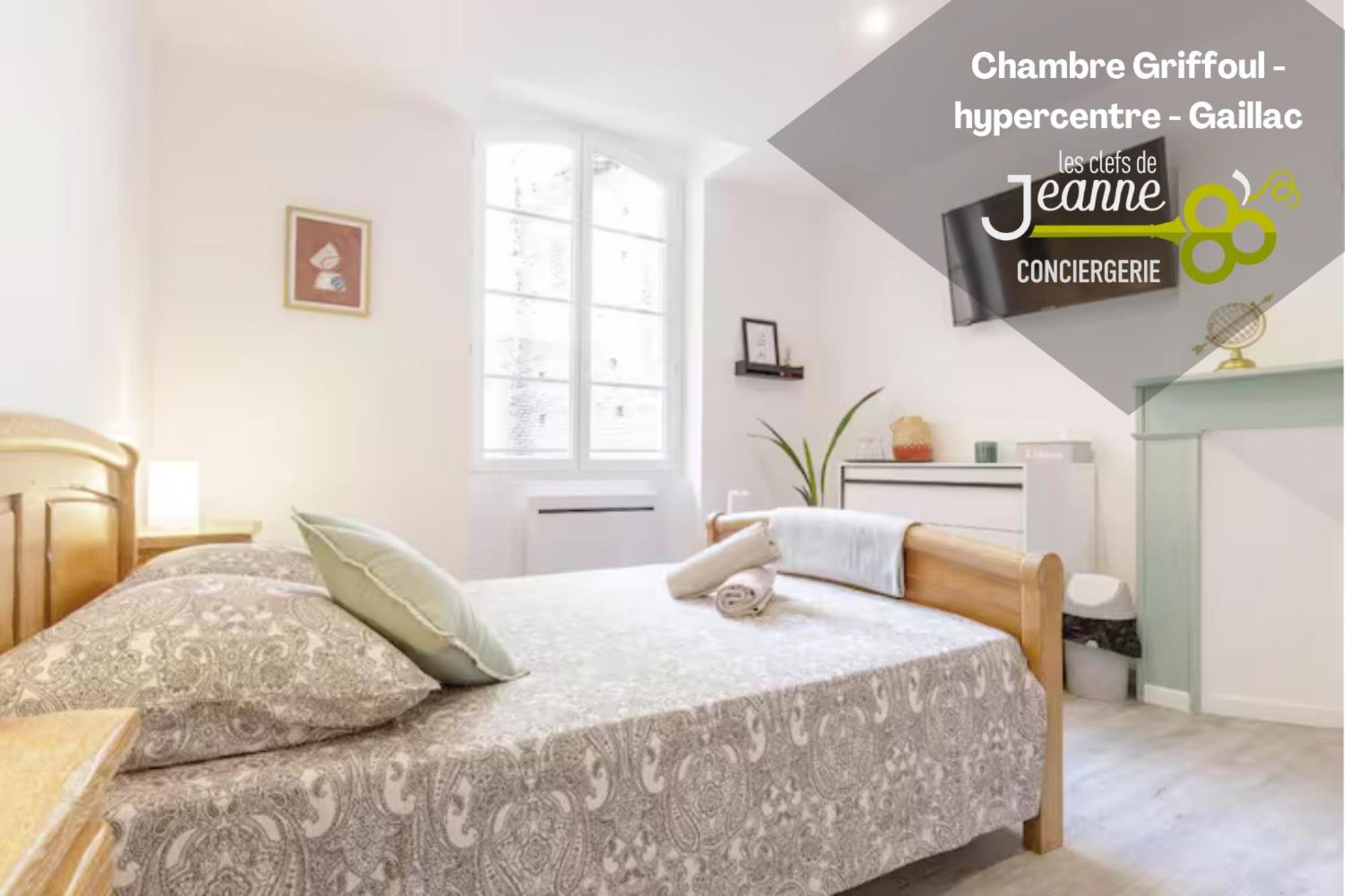 Chambre Griffoul - Hypercentre - Gaillac Exterior foto